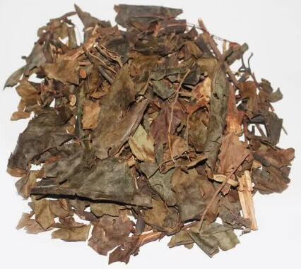 腫節(jié)風(草珊瑚) SARCANDRAE HERBA