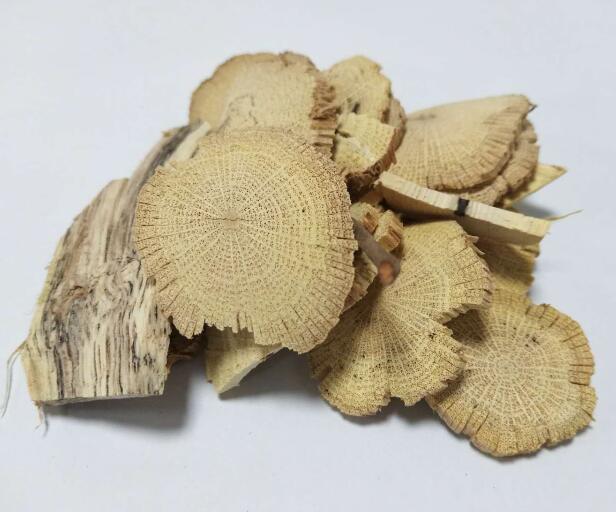 甘木通 Clematis loureiriana DC