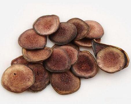 鹿茸(梅花鹿) CERVI CORNU PANTOTRICHUM