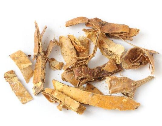 瓜蔞皮(雙邊栝樓) TRICHOSANTHIS PERICARPIUM