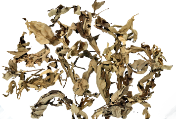 普菲德專題產(chǎn)品推薦-艾葉系列