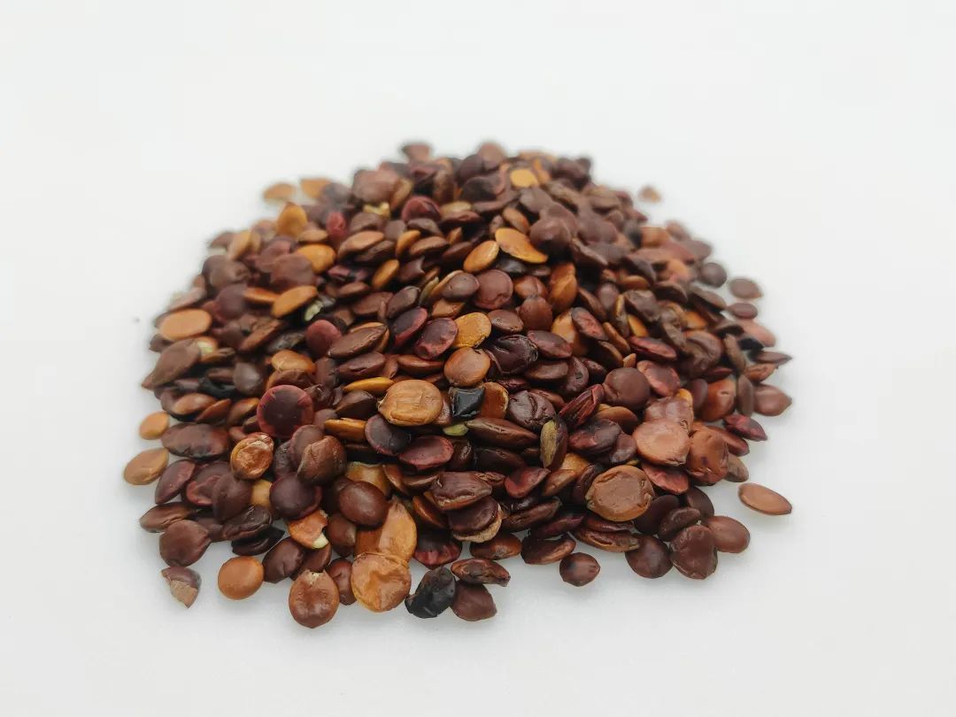 普菲德專(zhuān)題產(chǎn)品推薦-酸棗仁系列