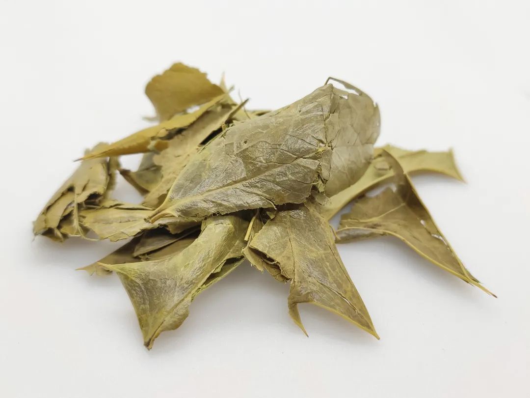 普菲德專(zhuān)題產(chǎn)品推薦-枸骨葉系列