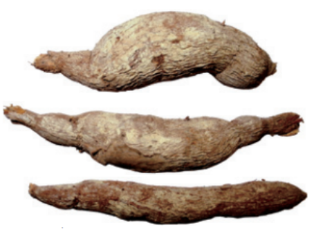 普菲德專(zhuān)題產(chǎn)品推薦-烏藥系列