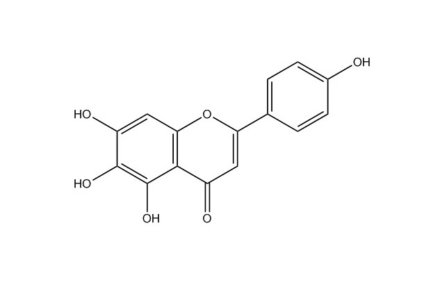 野黃芩素|529-53-3
